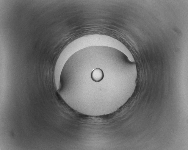 X0000116440328201001051210