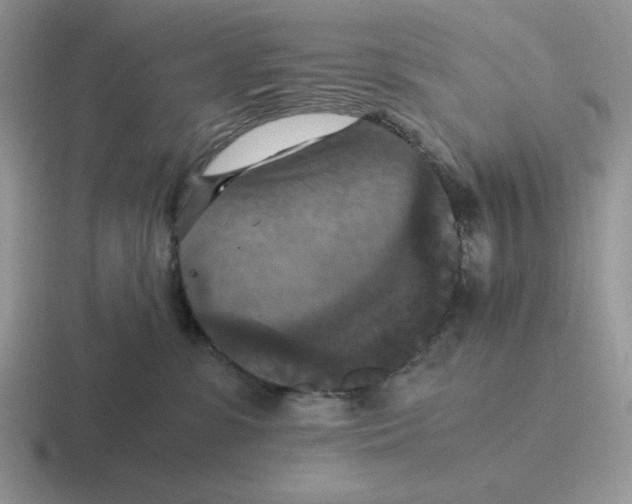 X0000116440331201001051209