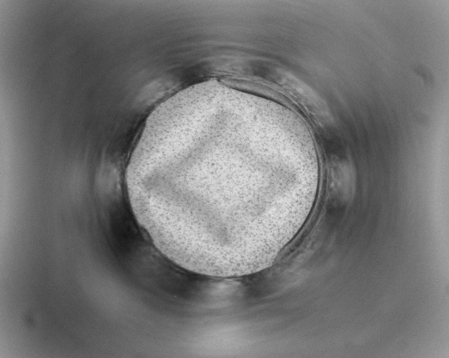 X0000116440333201001051209