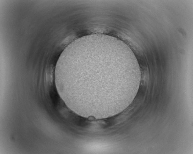 X0000116440334201001051209