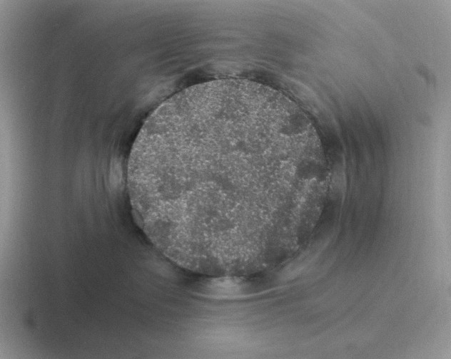 X0000116440335201001051209