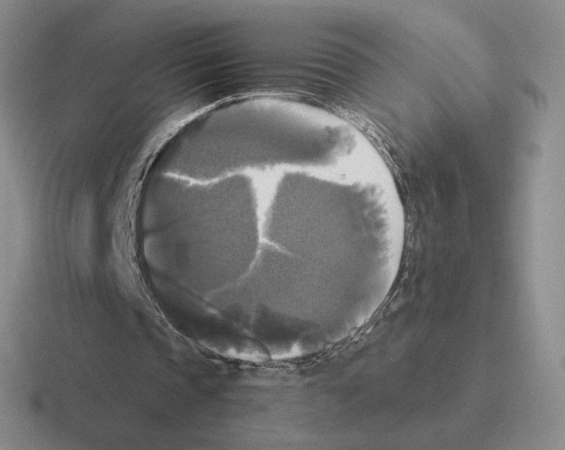 X0000116440337201001051209