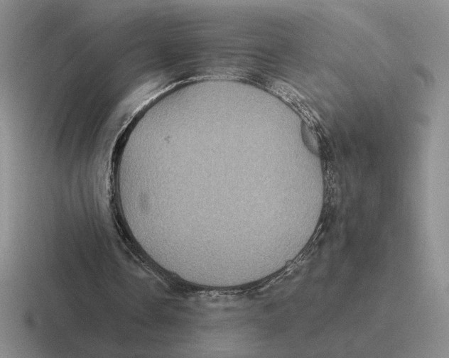 X0000116440338201001051209