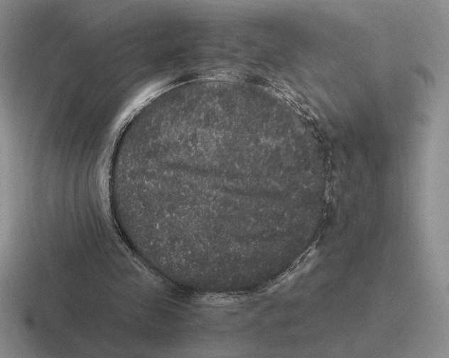 X0000116440341201001051209