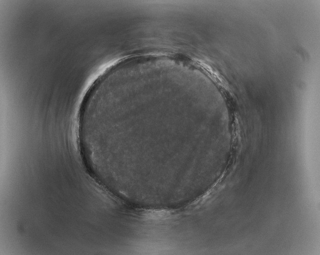 X0000116440342201001051209