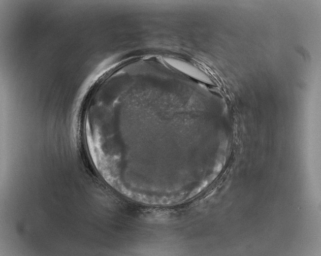 X0000116440343201001051209