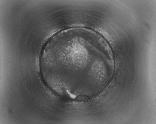 X0000116440345201001051209