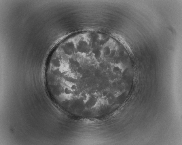 X0000116440346201001051209