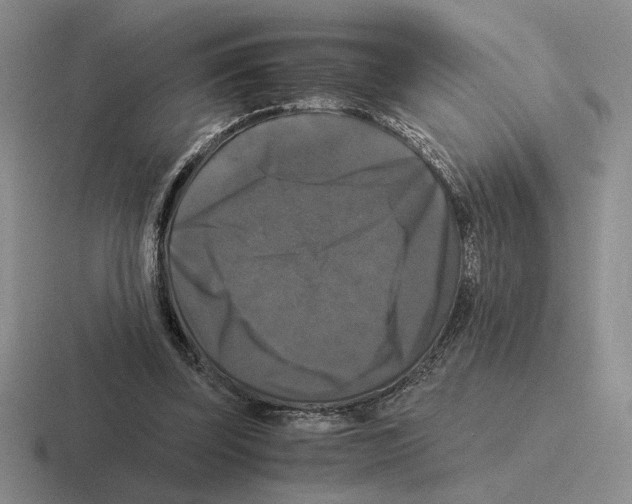 X0000116440347201001051209