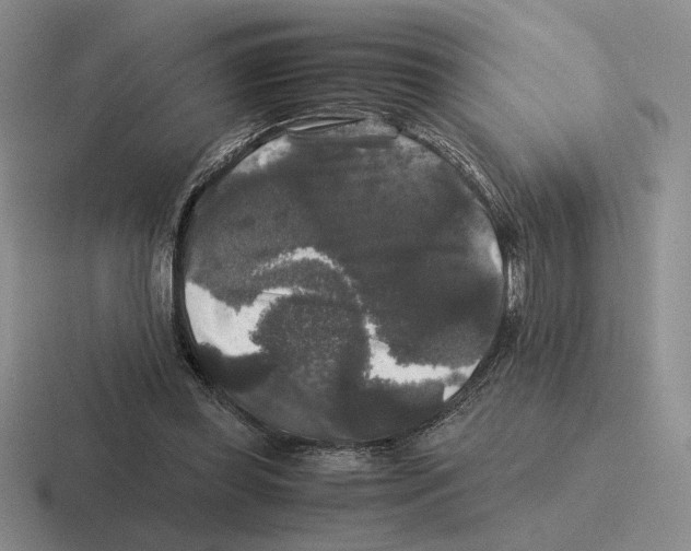 X0000116440349201001051209