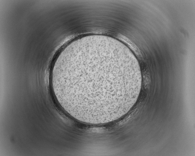 X0000116440350201001051209