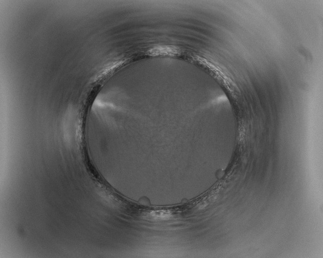 X0000116440353201001051209