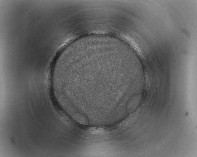 X0000116440354201001051209