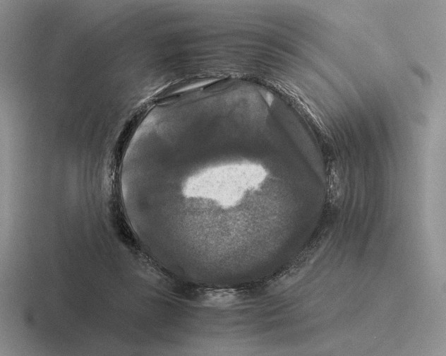 X0000116440355201001051209