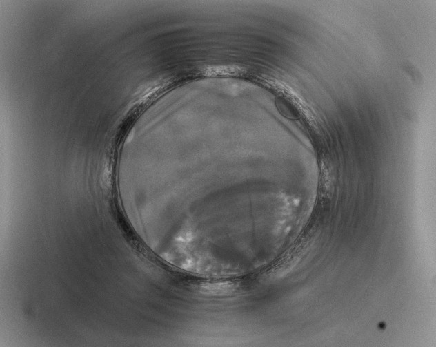 X0000116440357201001051209