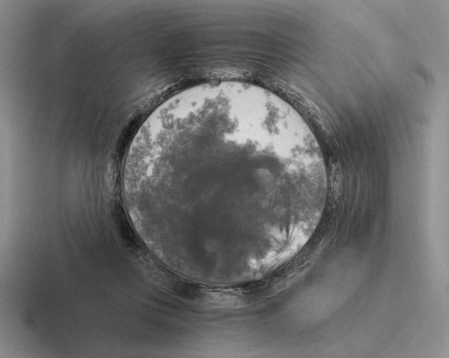 X0000116440359201001051209