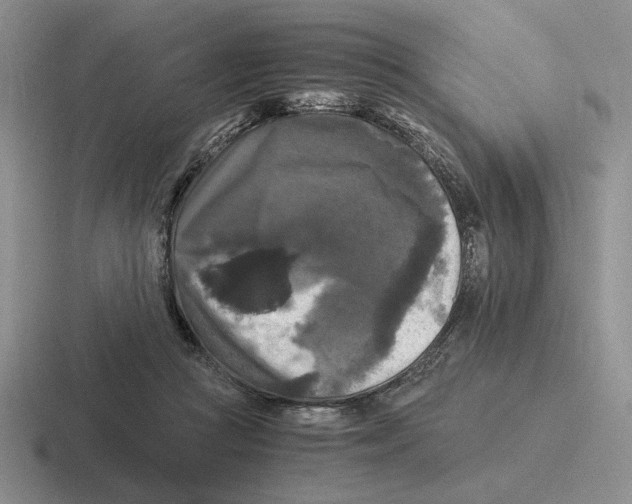 X0000116440361201001051209