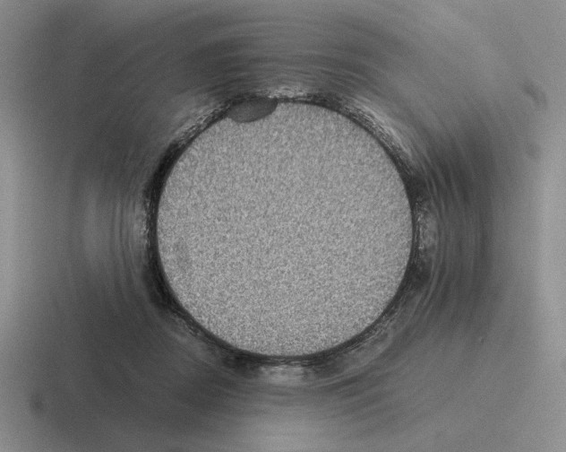 X0000116440362201001051209