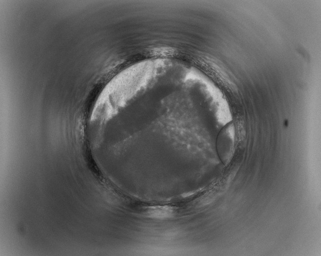 X0000116440363201001051209