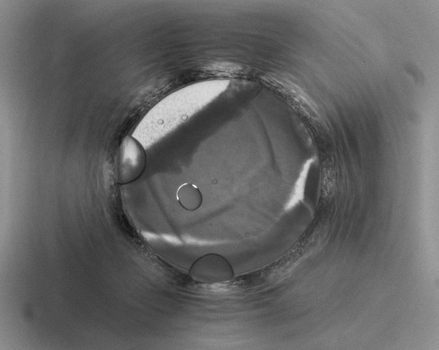 X0000116440365201001051209