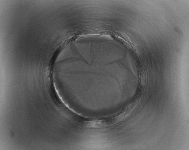 X0000116440366201001051209