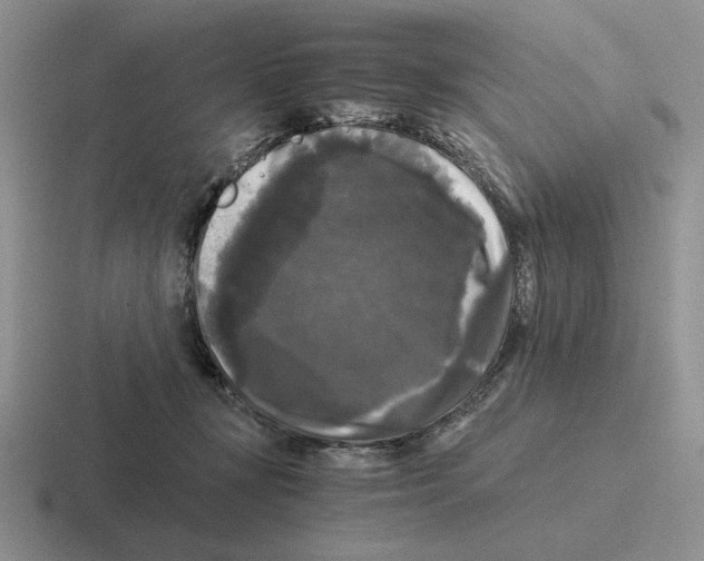 X0000116440367201001051209