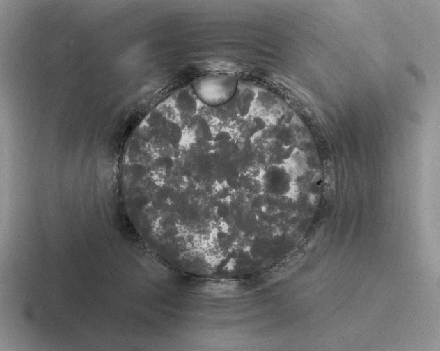 X0000116440369201001051209