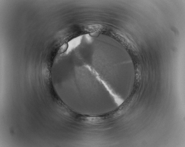 X0000116440371201001051209