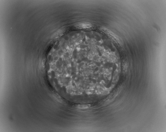 X0000116440373201001051209