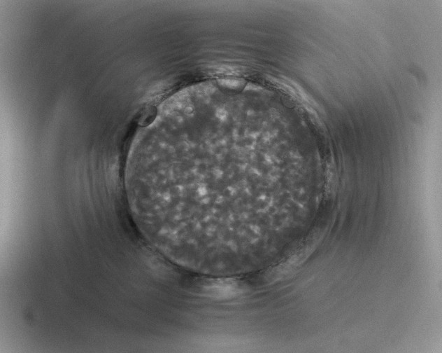 X0000116440377201001051209