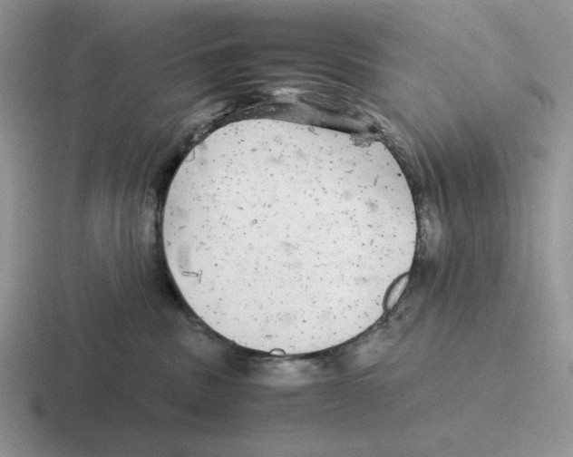 X0000116440379201001051209