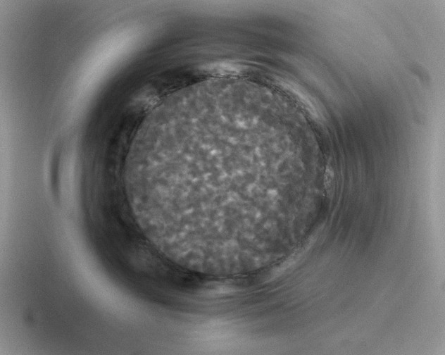 X0000116440381201001051209