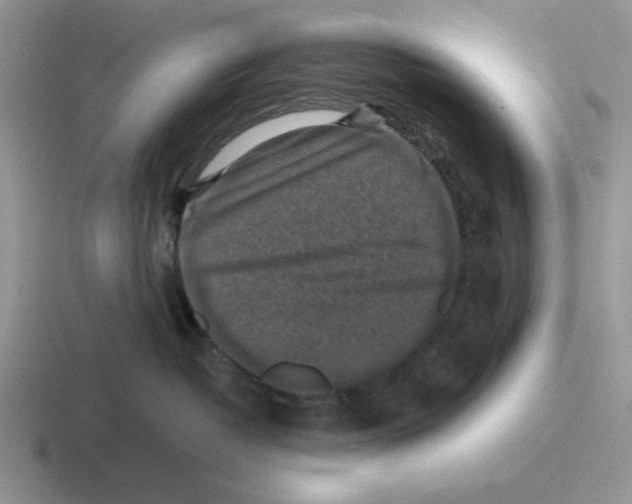 X0000116440382201001051209