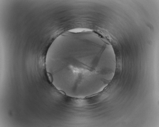 X0000116440383201001051209