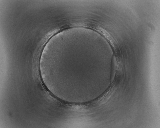 X0000116440385201001051209