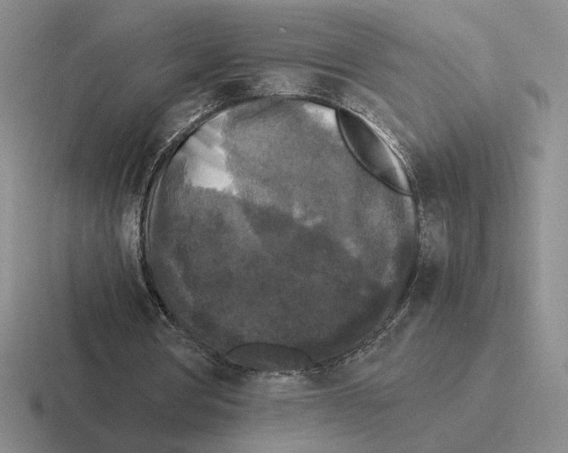 X0000116440386201001051209