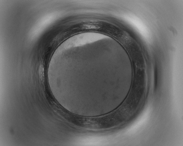 X0000116440387201001051209