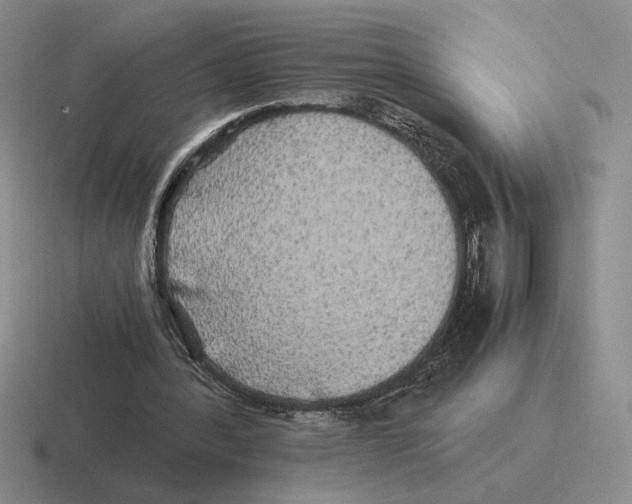 X0000116440388201001051209