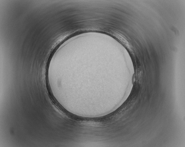 X0000116440389201001051209