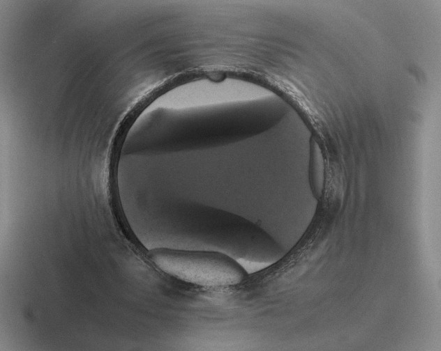 X0000116440391201001051209