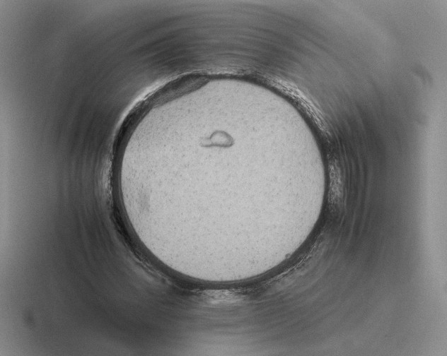 X0000116440392201001051209