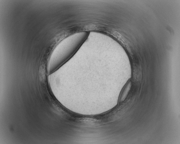 X0000116440393201001051209