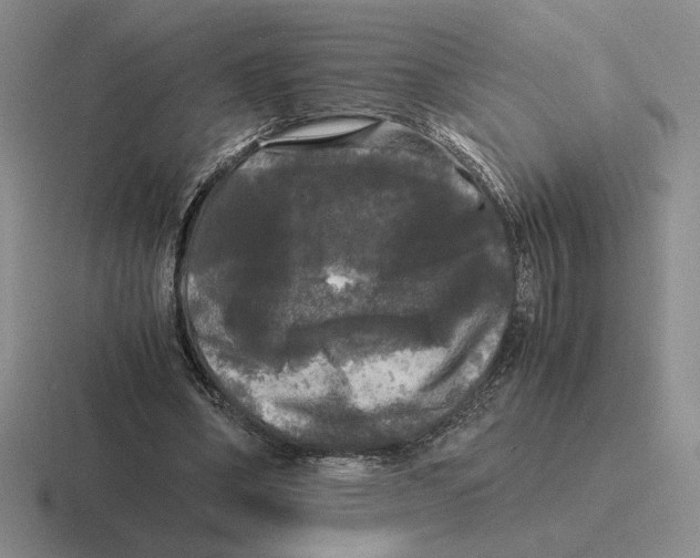 X0000116440394201001051209