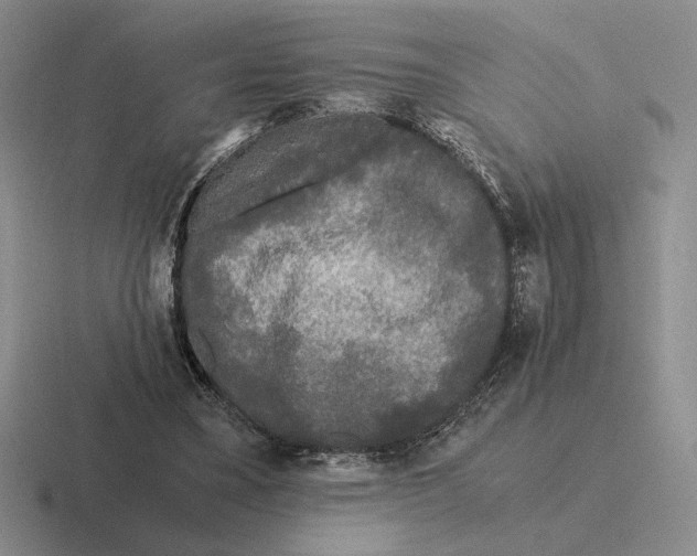 X0000116440395201001051209