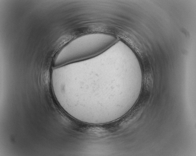 X0000116440397201001051209