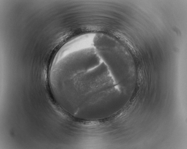 X0000116440398201001051209