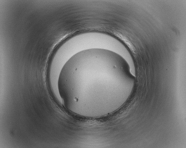 X0000116440399201001051209