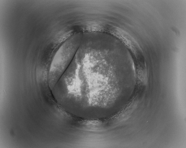 X0000116440401201001051209