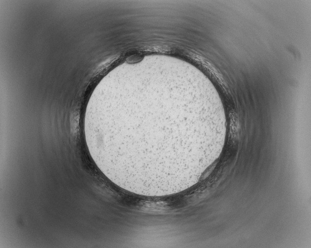 X0000116440403201001051209