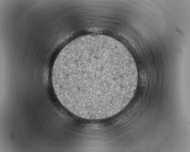 X0000116440404201001051209